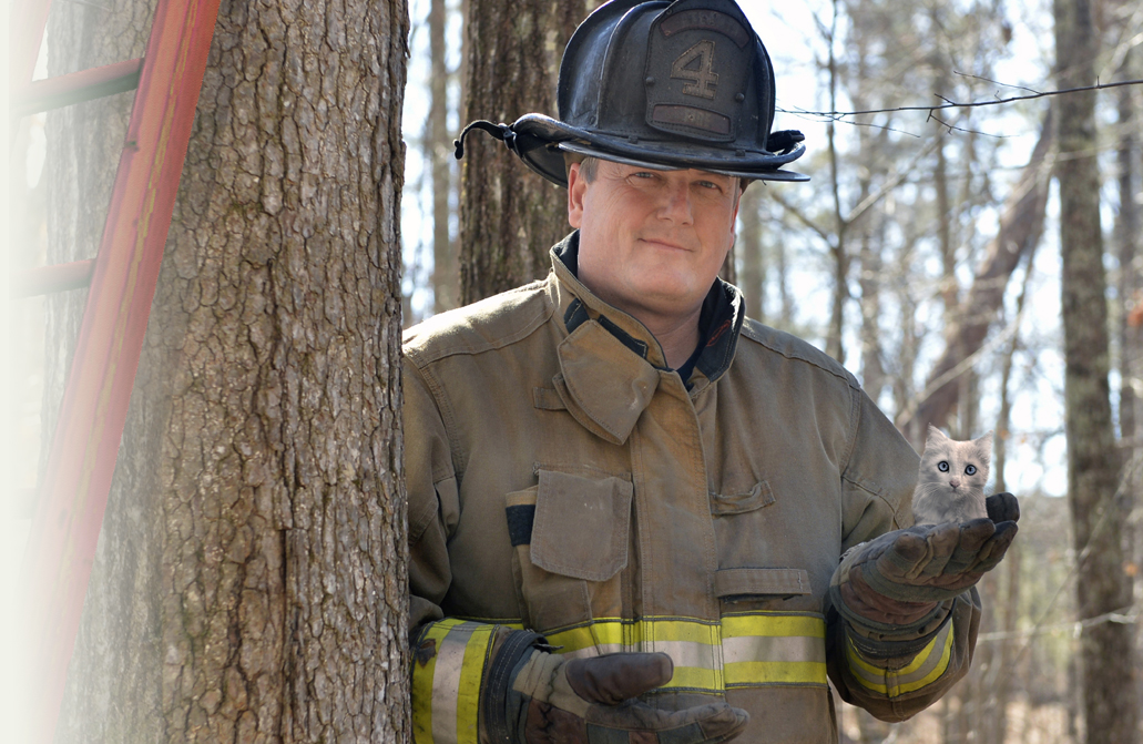 Firefighter rescued kitten from tree - A simple incident that needs to be reported.